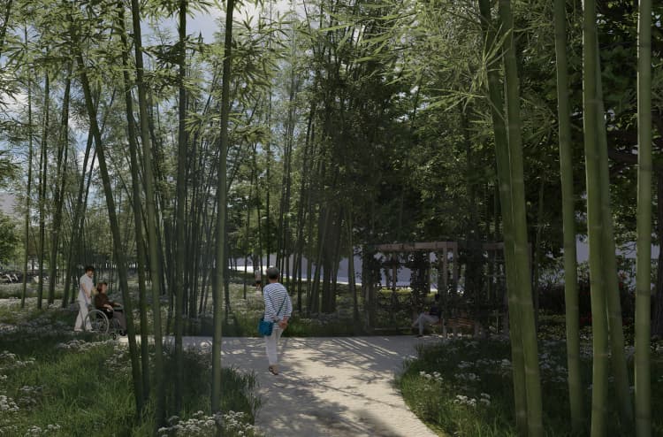 Therapeutic Garden